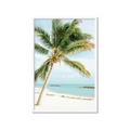 Picture of Palm Trees II _GroupedProduct_Rectangle_Portrait_Photography _GroupedProduct_Rectangle_Portrait_Framed_Matted_