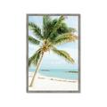 Picture of Palm Trees II _GroupedProduct_Rectangle_Portrait_Photography _GroupedProduct_Rectangle_Portrait_Framed_Matted_