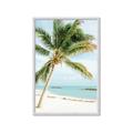 Picture of Palm Trees II _GroupedProduct_Rectangle_Portrait_Photography _GroupedProduct_Rectangle_Portrait_Framed_Matted_