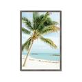 Picture of Palm Trees II _GroupedProduct_Rectangle_Portrait_Photography _GroupedProduct_Rectangle_Portrait_Framed_Matted_