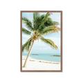 Picture of Palm Trees II _GroupedProduct_Rectangle_Portrait_Photography _GroupedProduct_Rectangle_Portrait_Framed_Matted_