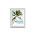 Picture of Palm Trees II _GroupedProduct_Rectangle_Portrait_Photography _GroupedProduct_Rectangle_Portrait_Framed_Matted_