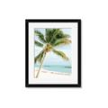 Picture of Palm Trees II _GroupedProduct_Rectangle_Portrait_Photography _GroupedProduct_Rectangle_Portrait_Framed_Matted_