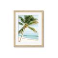 Picture of Palm Trees II _GroupedProduct_Rectangle_Portrait_Photography _GroupedProduct_Rectangle_Portrait_Framed_Matted_