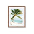 Picture of Palm Trees II _GroupedProduct_Rectangle_Portrait_Photography _GroupedProduct_Rectangle_Portrait_Framed_Matted_