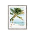 Picture of Palm Trees II _GroupedProduct_Rectangle_Portrait_Photography _GroupedProduct_Rectangle_Portrait_Framed_Matted_