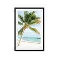 Picture of Palm Trees II _GroupedProduct_Rectangle_Portrait_Photography _GroupedProduct_Rectangle_Portrait_Framed_Matted_