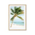 Picture of Palm Trees II _GroupedProduct_Rectangle_Portrait_Photography _GroupedProduct_Rectangle_Portrait_Framed_Matted_