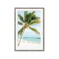 Picture of Palm Trees II _GroupedProduct_Rectangle_Portrait_Photography _GroupedProduct_Rectangle_Portrait_Framed_Matted_