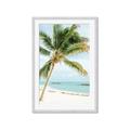 Picture of Palm Trees II _GroupedProduct_Rectangle_Portrait_Photography _GroupedProduct_Rectangle_Portrait_Framed_Matted_