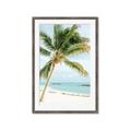 Picture of Palm Trees II _GroupedProduct_Rectangle_Portrait_Photography _GroupedProduct_Rectangle_Portrait_Framed_Matted_