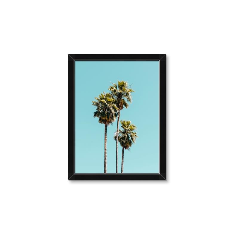 Picture of Palm Trees III _GroupedProduct_Rectangle_Portrait_Photography _GroupedProduct_Rectangle_Portrait_Framed_Matted_