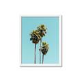 Picture of Palm Trees III _GroupedProduct_Rectangle_Portrait_Photography _GroupedProduct_Rectangle_Portrait_Framed_Matted_