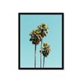 Picture of Palm Trees III _GroupedProduct_Rectangle_Portrait_Photography _GroupedProduct_Rectangle_Portrait_Framed_Matted_