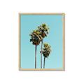 Picture of Palm Trees III _GroupedProduct_Rectangle_Portrait_Photography _GroupedProduct_Rectangle_Portrait_Framed_Matted_