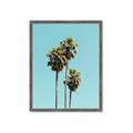 Picture of Palm Trees III _GroupedProduct_Rectangle_Portrait_Photography _GroupedProduct_Rectangle_Portrait_Framed_Matted_