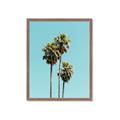 Picture of Palm Trees III _GroupedProduct_Rectangle_Portrait_Photography _GroupedProduct_Rectangle_Portrait_Framed_Matted_