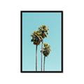 Picture of Palm Trees III _GroupedProduct_Rectangle_Portrait_Photography _GroupedProduct_Rectangle_Portrait_Framed_Matted_