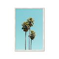 Picture of Palm Trees III _GroupedProduct_Rectangle_Portrait_Photography _GroupedProduct_Rectangle_Portrait_Framed_Matted_