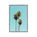 Picture of Palm Trees III _GroupedProduct_Rectangle_Portrait_Photography _GroupedProduct_Rectangle_Portrait_Framed_Matted_