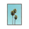 Picture of Palm Trees III _GroupedProduct_Rectangle_Portrait_Photography _GroupedProduct_Rectangle_Portrait_Framed_Matted_