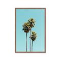Picture of Palm Trees III _GroupedProduct_Rectangle_Portrait_Photography _GroupedProduct_Rectangle_Portrait_Framed_Matted_