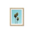 Picture of Palm Trees III _GroupedProduct_Rectangle_Portrait_Photography _GroupedProduct_Rectangle_Portrait_Framed_Matted_