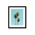 Picture of Palm Trees III _GroupedProduct_Rectangle_Portrait_Photography _GroupedProduct_Rectangle_Portrait_Framed_Matted_