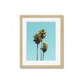 Picture of Palm Trees III _GroupedProduct_Rectangle_Portrait_Photography _GroupedProduct_Rectangle_Portrait_Framed_Matted_