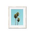 Picture of Palm Trees III _GroupedProduct_Rectangle_Portrait_Photography _GroupedProduct_Rectangle_Portrait_Framed_Matted_