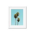 Picture of Palm Trees III _GroupedProduct_Rectangle_Portrait_Photography _GroupedProduct_Rectangle_Portrait_Framed_Matted_