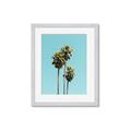 Picture of Palm Trees III _GroupedProduct_Rectangle_Portrait_Photography _GroupedProduct_Rectangle_Portrait_Framed_Matted_