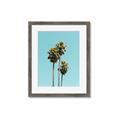 Picture of Palm Trees III _GroupedProduct_Rectangle_Portrait_Photography _GroupedProduct_Rectangle_Portrait_Framed_Matted_