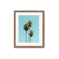 Picture of Palm Trees III _GroupedProduct_Rectangle_Portrait_Photography _GroupedProduct_Rectangle_Portrait_Framed_Matted_