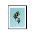 Picture of Palm Trees III _GroupedProduct_Rectangle_Portrait_Photography _GroupedProduct_Rectangle_Portrait_Framed_Matted_