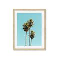 Picture of Palm Trees III _GroupedProduct_Rectangle_Portrait_Photography _GroupedProduct_Rectangle_Portrait_Framed_Matted_