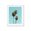 Picture of Palm Trees III _GroupedProduct_Rectangle_Portrait_Photography _GroupedProduct_Rectangle_Portrait_Framed_Matted_