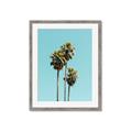 Picture of Palm Trees III _GroupedProduct_Rectangle_Portrait_Photography _GroupedProduct_Rectangle_Portrait_Framed_Matted_