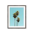 Picture of Palm Trees III _GroupedProduct_Rectangle_Portrait_Photography _GroupedProduct_Rectangle_Portrait_Framed_Matted_