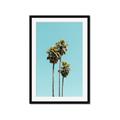 Picture of Palm Trees III _GroupedProduct_Rectangle_Portrait_Photography _GroupedProduct_Rectangle_Portrait_Framed_Matted_