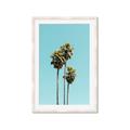 Picture of Palm Trees III _GroupedProduct_Rectangle_Portrait_Photography _GroupedProduct_Rectangle_Portrait_Framed_Matted_