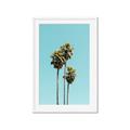 Picture of Palm Trees III _GroupedProduct_Rectangle_Portrait_Photography _GroupedProduct_Rectangle_Portrait_Framed_Matted_
