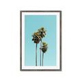 Picture of Palm Trees III _GroupedProduct_Rectangle_Portrait_Photography _GroupedProduct_Rectangle_Portrait_Framed_Matted_