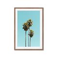 Picture of Palm Trees III _GroupedProduct_Rectangle_Portrait_Photography _GroupedProduct_Rectangle_Portrait_Framed_Matted_