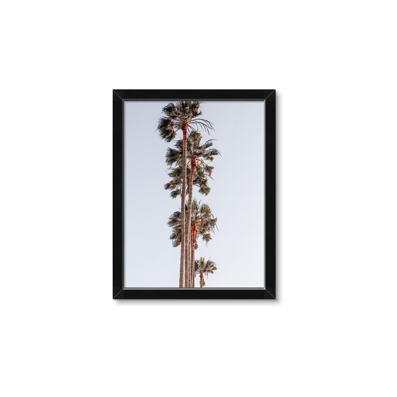 Picture of Palm Trees IV _GroupedProduct_Rectangle_Portrait_Photography _GroupedProduct_Rectangle_Portrait_Framed_Matted_