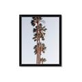 Picture of Palm Trees IV _GroupedProduct_Rectangle_Portrait_Photography _GroupedProduct_Rectangle_Portrait_Framed_Matted_