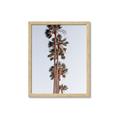 Picture of Palm Trees IV _GroupedProduct_Rectangle_Portrait_Photography _GroupedProduct_Rectangle_Portrait_Framed_Matted_