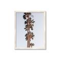 Picture of Palm Trees IV _GroupedProduct_Rectangle_Portrait_Photography _GroupedProduct_Rectangle_Portrait_Framed_Matted_