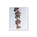 Picture of Palm Trees IV _GroupedProduct_Rectangle_Portrait_Photography _GroupedProduct_Rectangle_Portrait_Framed_Matted_