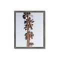 Picture of Palm Trees IV _GroupedProduct_Rectangle_Portrait_Photography _GroupedProduct_Rectangle_Portrait_Framed_Matted_